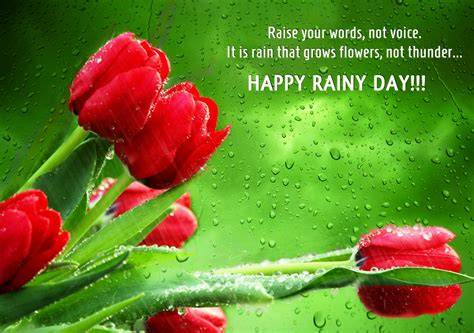 Spring Rain Quotes