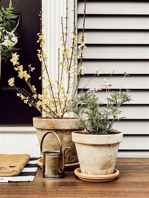 Spring Refresh: Get Ready for Outdoor Living with Menards