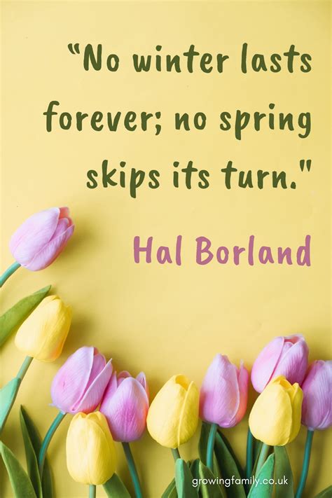 Spring Sayings And Quotes