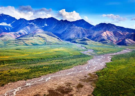 Spring in Denali National Park