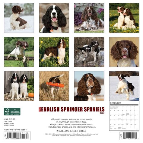English Springer Spaniels DogDays 2023 Calendar and Puzzle App for