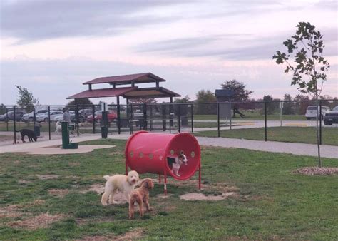 Unleash Your Pup's Playful Side at Springfield, TN's Premier Dog Park!