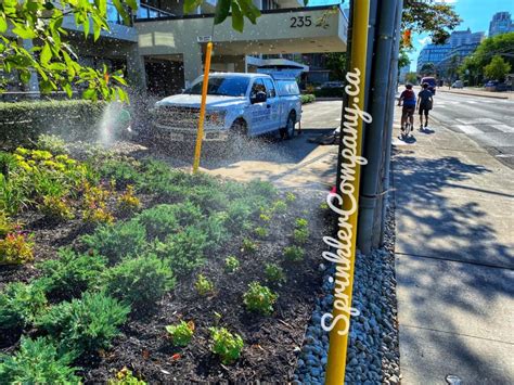 Sprinkler Repair Emergency Service