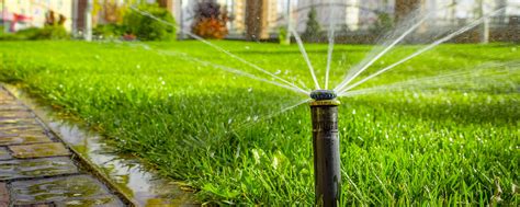 Sprinkler Repair Fort Collins Landscape