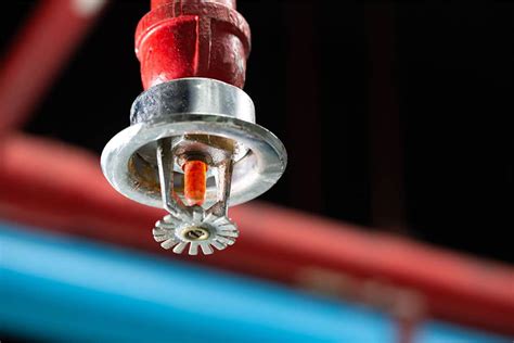 Sprinkler System Inspection Tampa