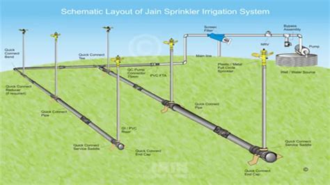 Your Ultimate Guide to Installing a Smart Sprinkler System within Your Property Line for a Lush and Healthy Landscape