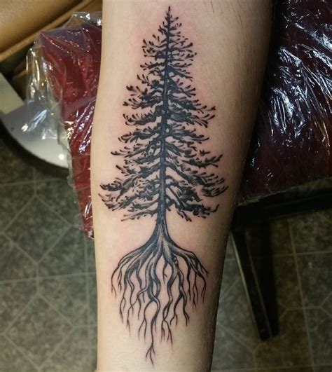 Spruce tree silhouette tattoo Tree silhouette tattoo