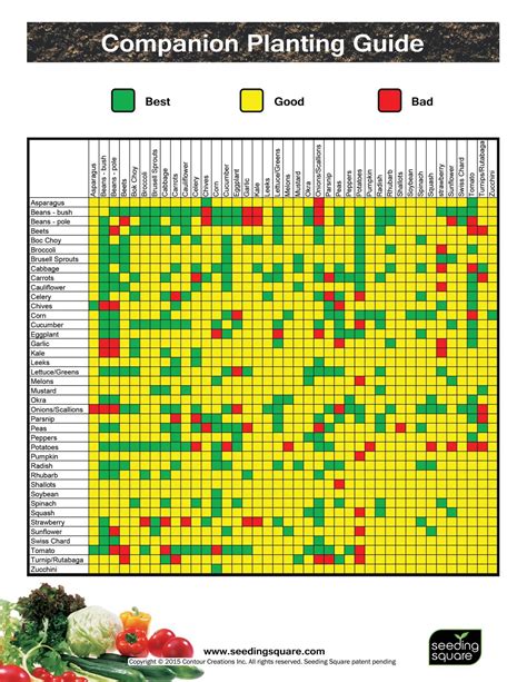 Square Foot Gardening Printable Companion Planting Chart