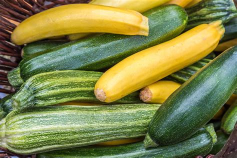 15 Common Types of Squash—and What to Do With Them MyRecipes