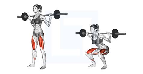Squat With Barbell