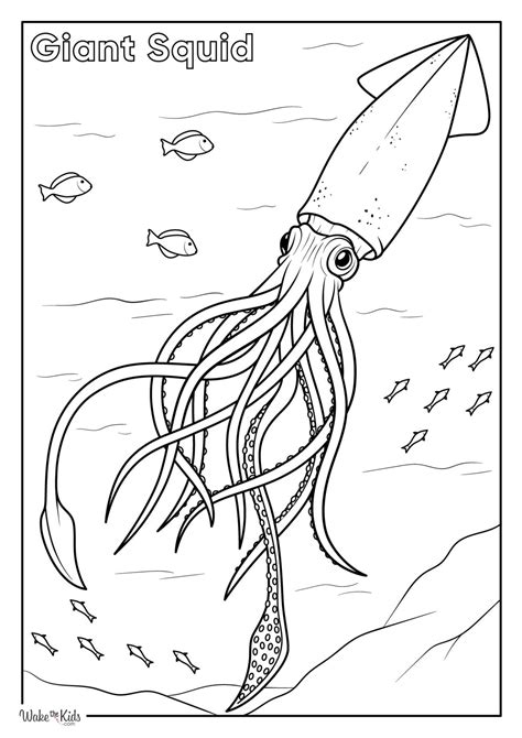 Squid Coloring Page