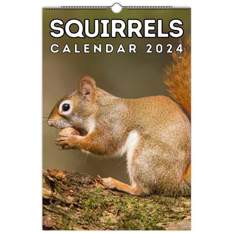 Squirrel Calendar 2024