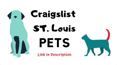 St Louis Craigslist Pets