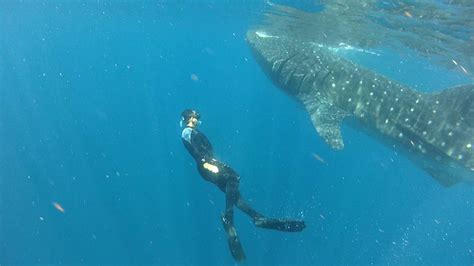 St Thomas Dive Review: Certified Diver’s Two Tank Adventure