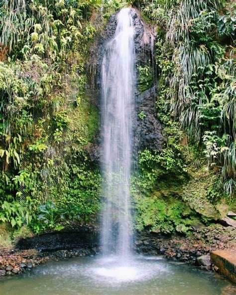 St. Lucia Waterfalls