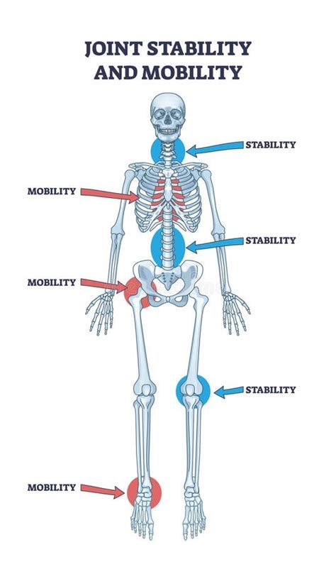 Stability