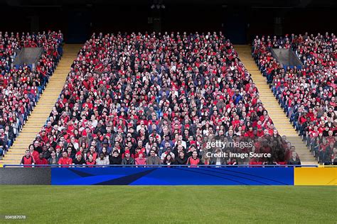 Stadium crowd