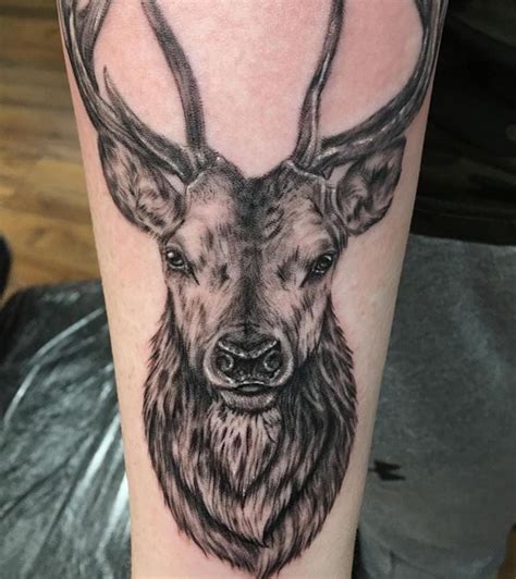 Stag tattoo by Lorand. Limited Availability at