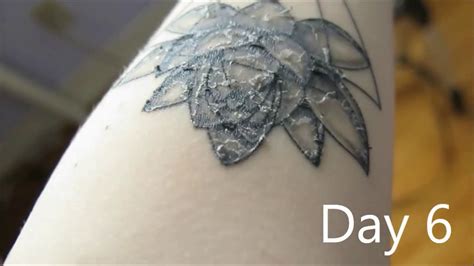 Tattoo Healing Process Above The Pearl Tattoo Studio