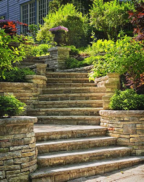 Stair Plants Outdoor: A Guide To Elevating Your Space