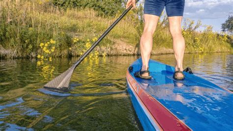 Stand Up Paddle Tour Guide