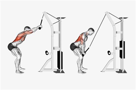 Standing Lat Pulldown