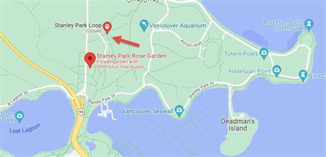 Stanley Park Loop Tour