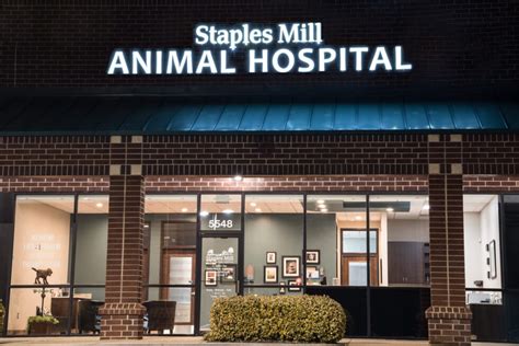 Staples Mill Animal Hospital: Trusted Pet Care Experts for Your Furry Friends