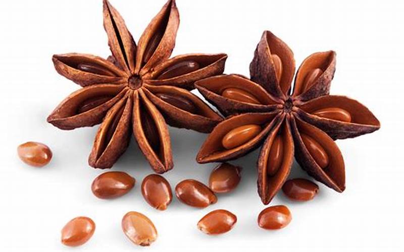 Star Anise Magical Properties
