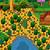 Stardew Valley Mobile Download