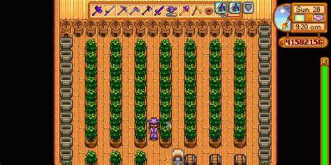 Stardew Tea Leaves