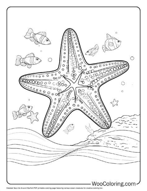 Starfish Coloring Book Page