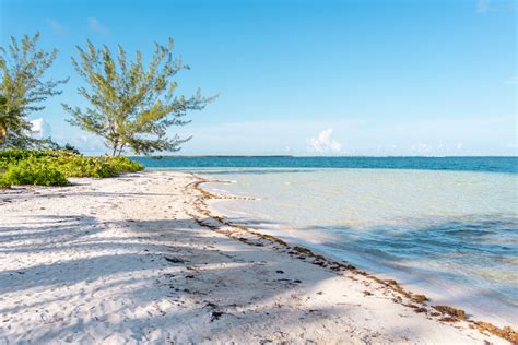 Relaxing at Starfish Point Beach