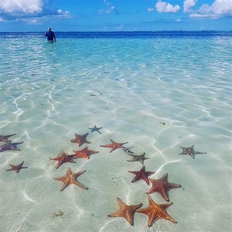Starfish Point Grand Cayman