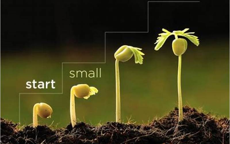 Start Small And Grow Over Time
