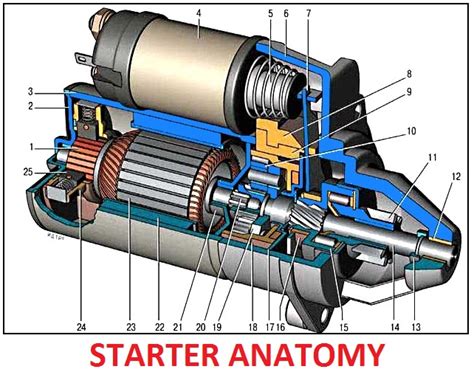 Starter Motor Anatomy