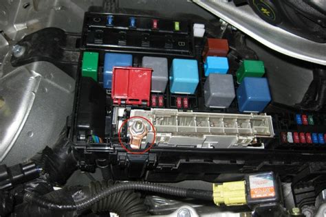 Starter blown fuse