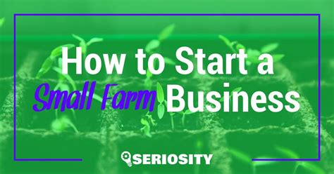 Starting A Small Farm Business