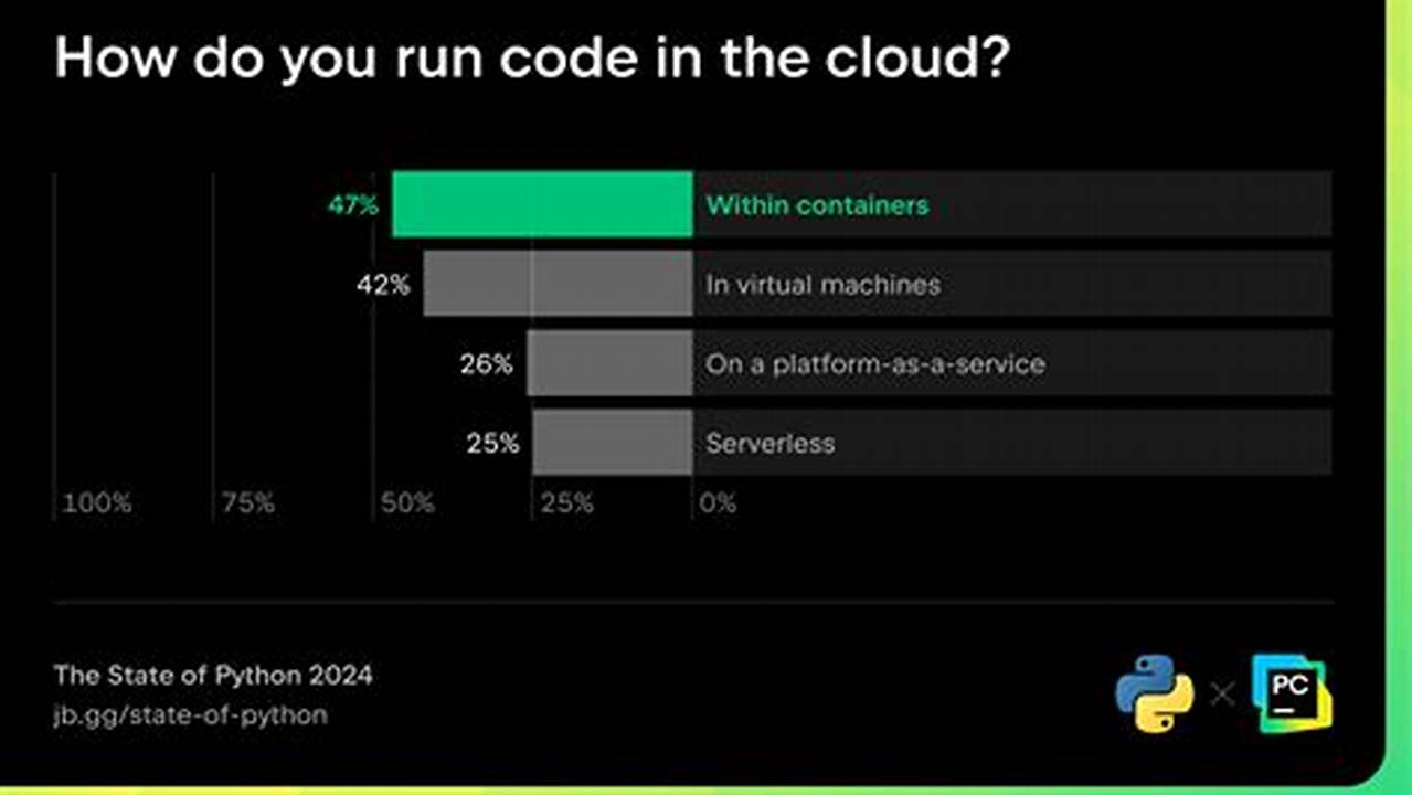 State Of Python 2024