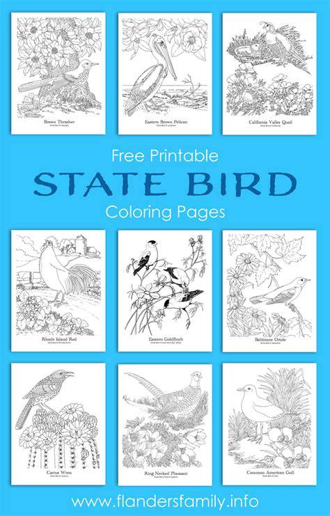 State Bird Coloring Pages