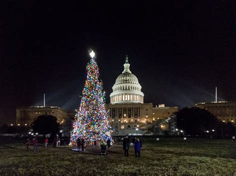 State Christmas Trees In Dc