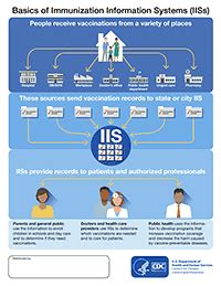 State Immunization Information Systems (IIS)