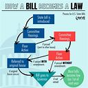 State-Specific Laws