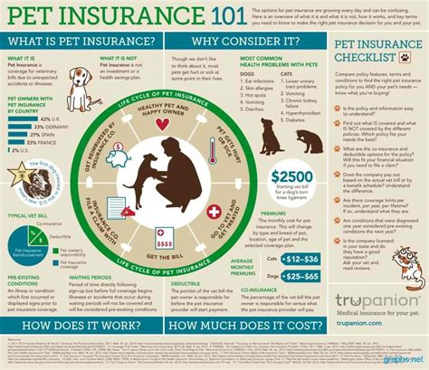 Image showcasing statistics related to pet insurance