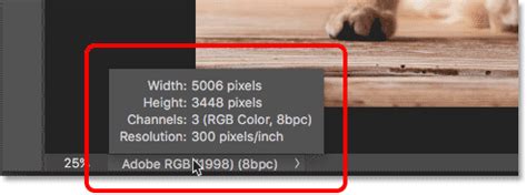 Status Bar Photoshop
