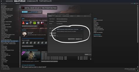 Steam Option de Lancement