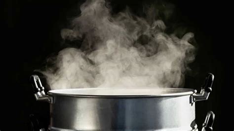 Steaming: A Gentle Embrace of Flavors