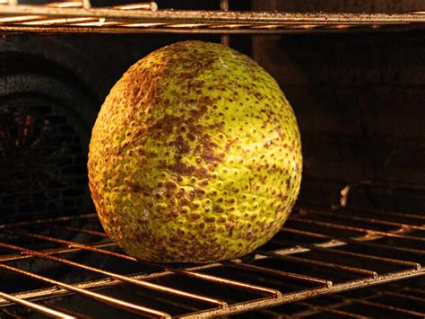 Steaming Breadfruit