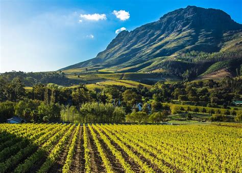 Stellenbosch Scenery