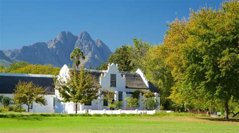 Stellenbosch guide
